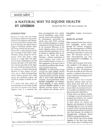 First page of the research document
